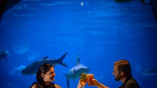 SWO_2021_CraftBeer_DSC1747 (1)