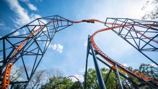 2019_BuschGardensTampaBay_Tigris_Scope_750x442