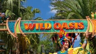 wild oasis