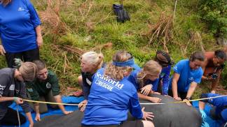 c3c76414-50f1-4a66-a3dc-3fb195e57352