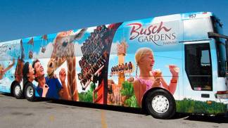 Atualizações sobre Shuttle Gratuito para o Busch Gardens Tampa